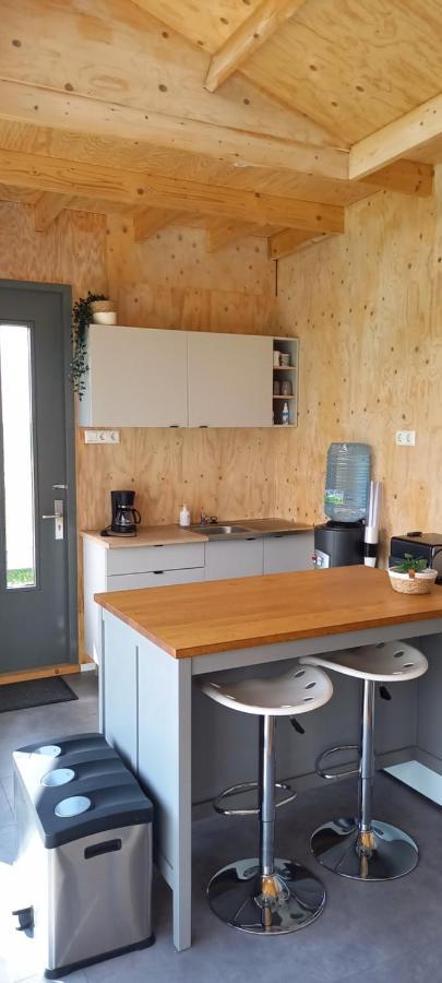 Tiny House Het Polderhuisje Streefkerk 外观 照片